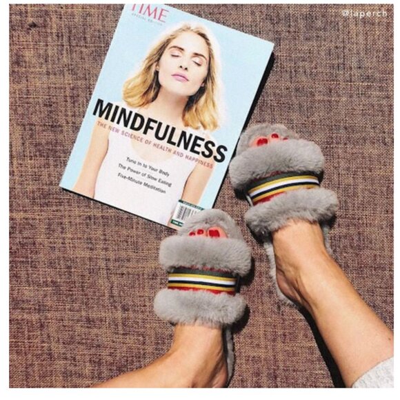 Emu AUSTRALIA Sheepskin Wrenlette Cozy Slide Slippers Grey Sz.9 - Picture 1 of 13
